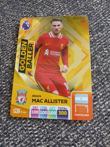 Panini premier league - panini,